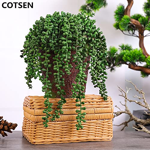 Cotsen 5Pcs Artificial Succulents Hanging Plants 17Inch Fake String Of Pearls Plants Realistic Green For Garden Office Interior And Outdoor Decoration #TOP1