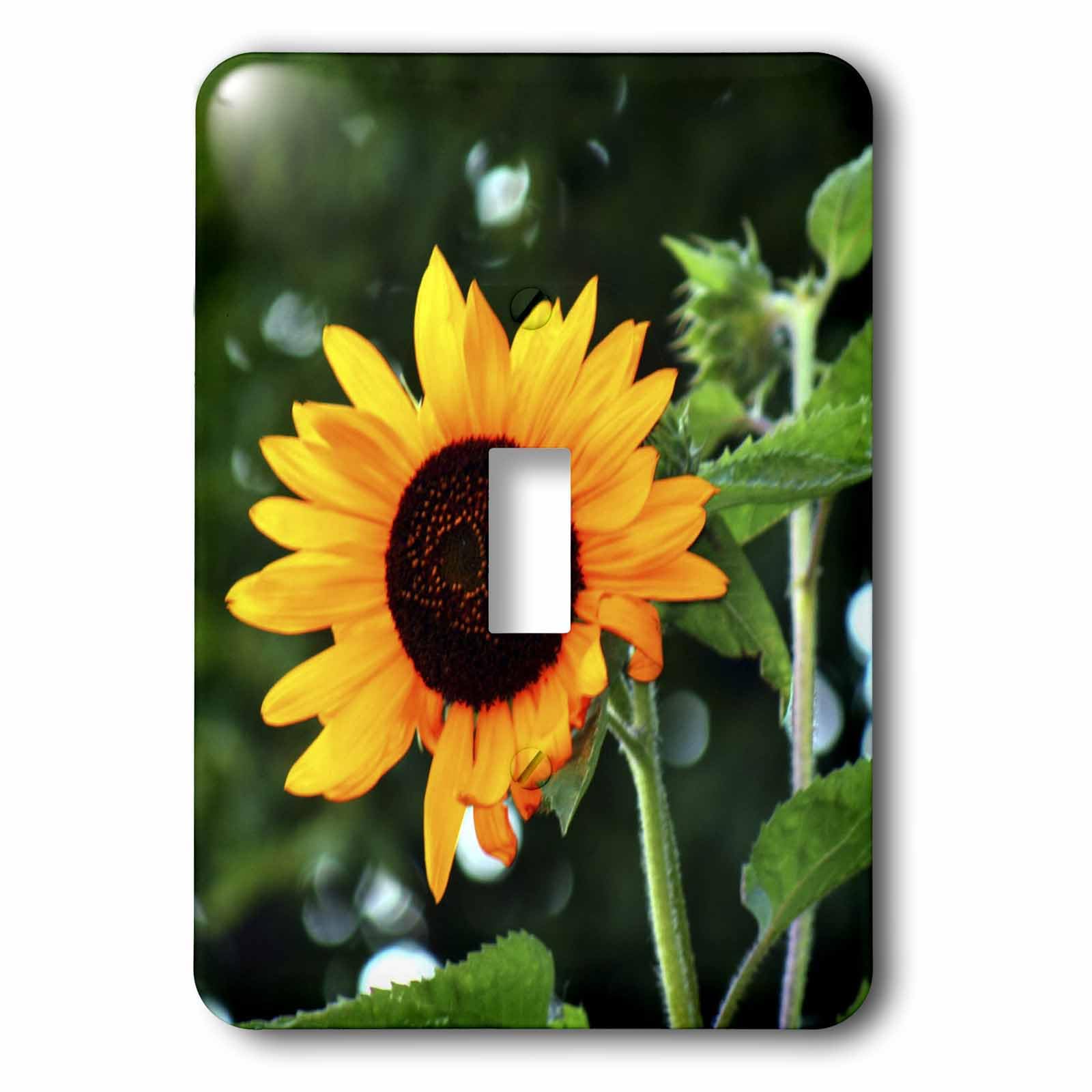 Interrupteur baïonnette lavable motif floral orange pour rénovation murale