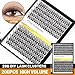 →VAYATOR False Eyelashes Kit/Eyelashes Cluster,7D/10D/20D/30D/40D/50D 200pcs D Curl 8-20mm Mixed Packaging Individual Eyelashes Extension Makeup Tools Easy Grafting (20D-16mm-18mm Mixed)