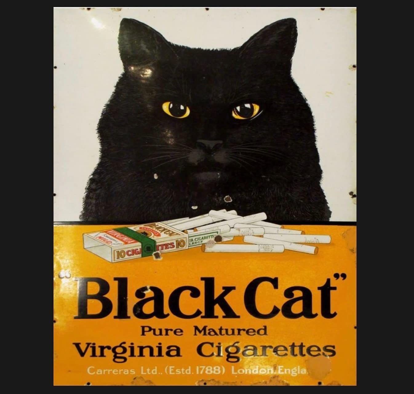 Bonoff Black Classic Cat Cigarettes Ad Print Cat Print Cat Print Vintage Decor Poster Wall Art Decor Metal Sign Poster 8X12 Inches