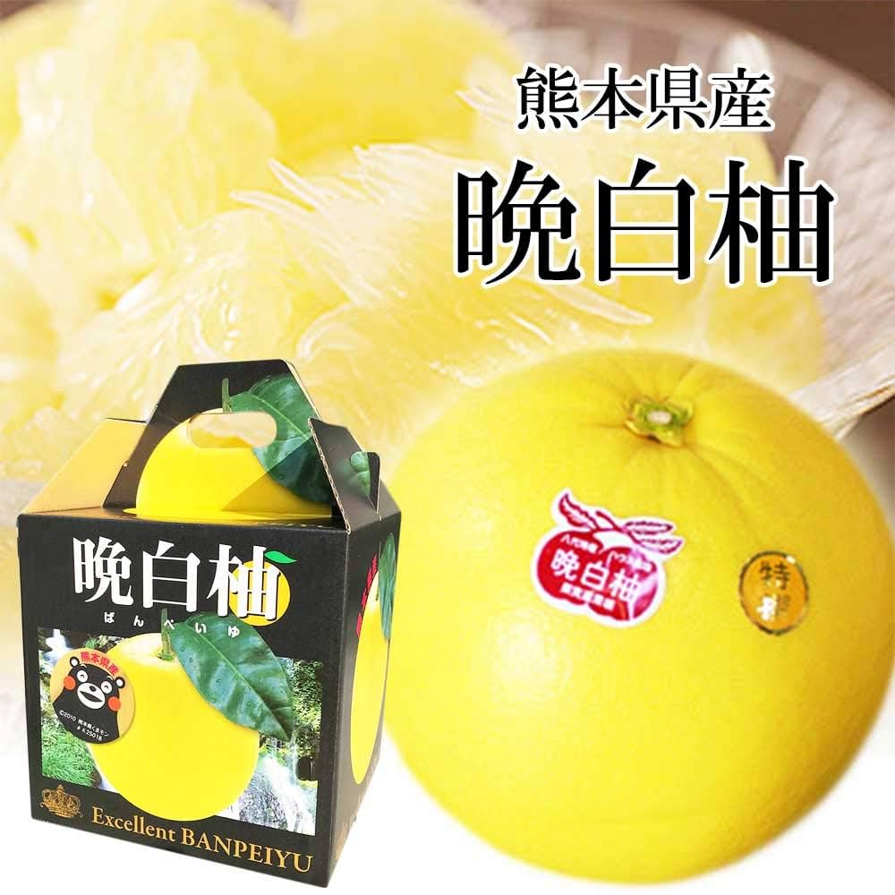 Amazon.co.jp: 晩白柚 1玉入り 化粧箱 熊本産 2L～Mサイズ