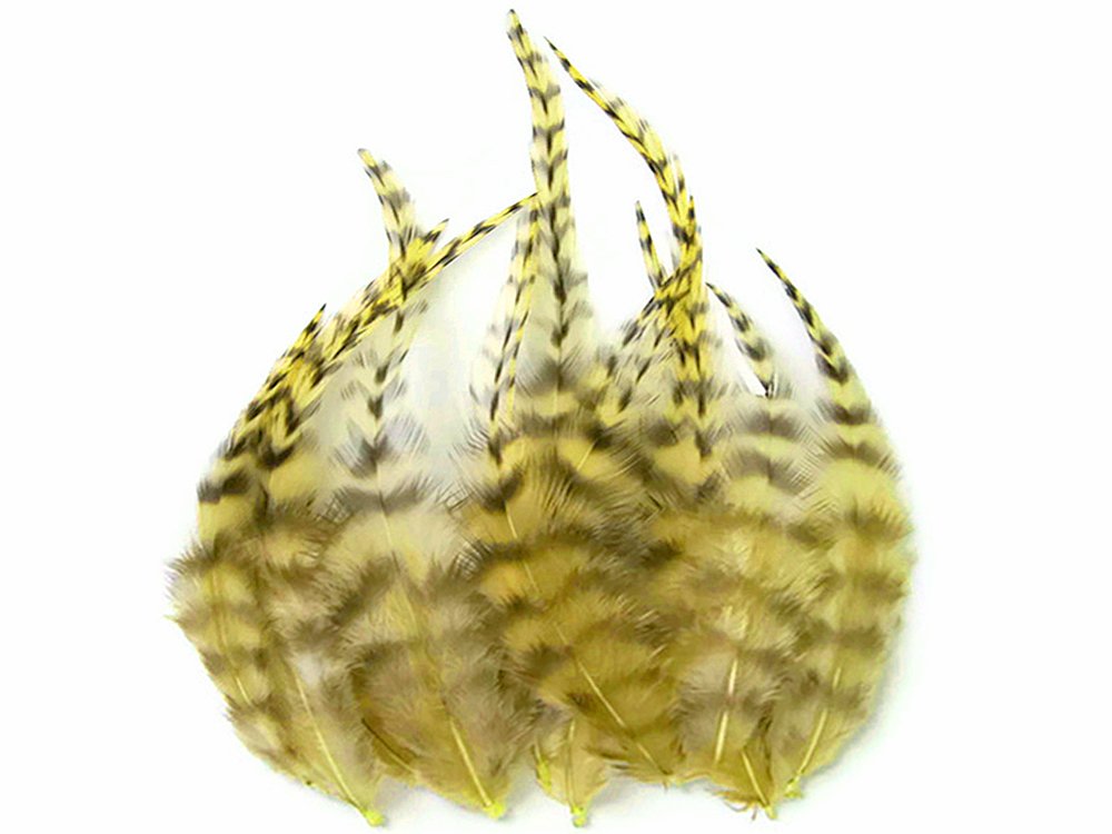 Hair Feathers ; 2 Dozen - SHORT PUMPKIN MIX Grizzly Rooster Hair Extension Feathers