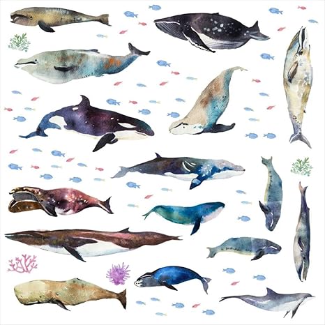 Amazon 海の生物 シール式ウォールステッカー 魚 Fish Sea クジラ くじら イルカ いるか アクアリウム シャチ 飾り 90 90cm 剥がせる カッティングシート Wall Sticker 雑貨 ガラス 窓 Wsl Ws ウォールステッカー オンライン通販 Amazon 海の生物 シール式ウォールステッカー 魚 Fish Sea クジラ くじら イルカ いるか アクアリウム シャチ 飾り 90 90cm 剥がせる カッティングシート Wall Sticker 雑貨 ガラス 窓 Wsl Ws ウォールステッカー オンライン通販
