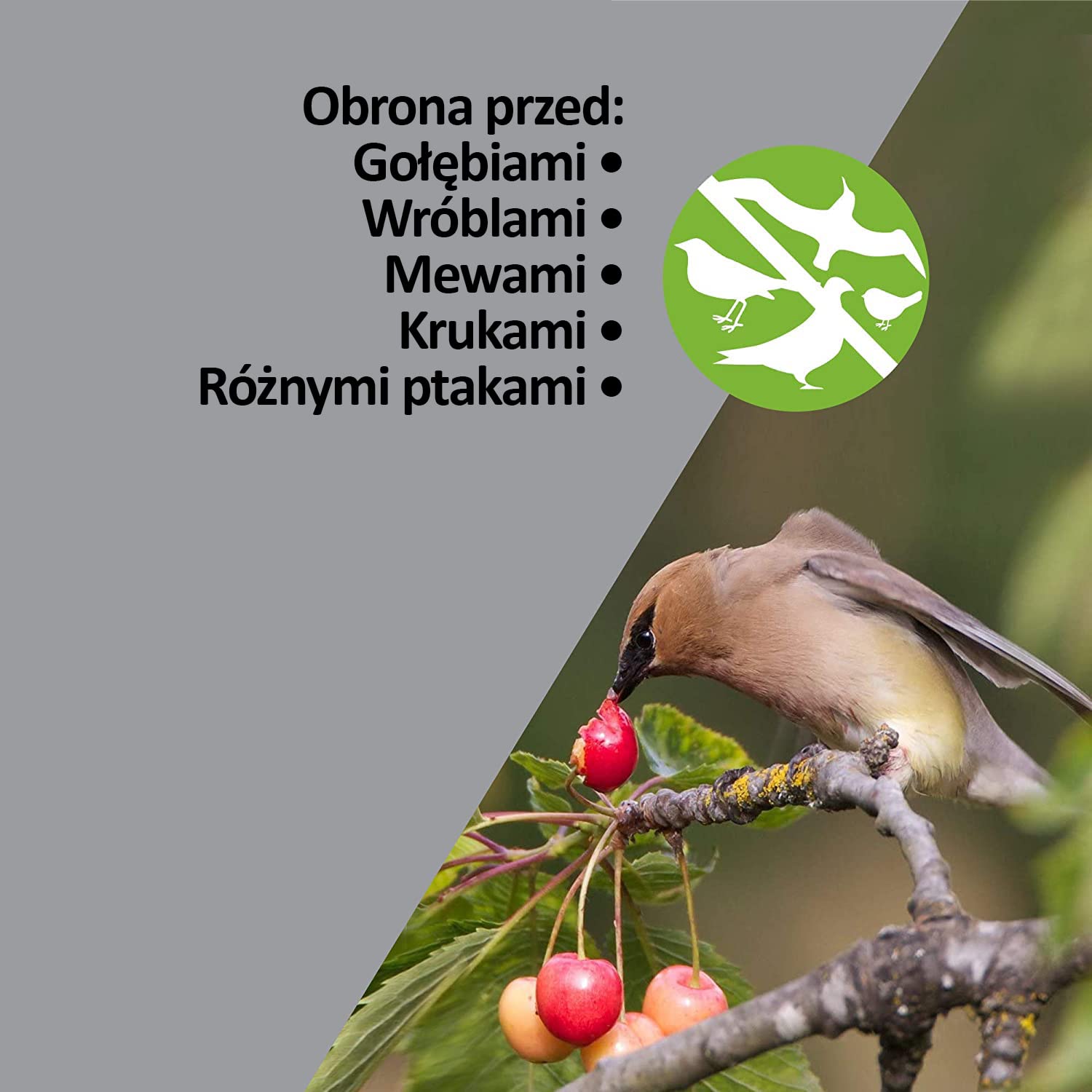 ISOTRONIC Ultradźwiękowy odstraszacz ptaków i gołębi – Bateryjny – Na balkon, dach i do ogrodu – Skuteczny na wróble, mewy i wrony – Zasięg 50 m² (2 sztuki)