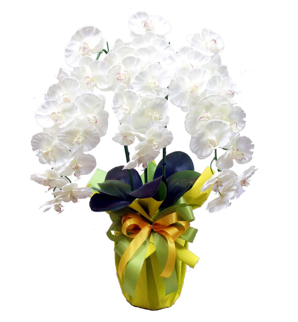 ③大型商品　　胡蝶蘭造花 Amazon｜高級 胡蝶蘭3本立ち 光触媒 シルクフラワー 造花 (ホワイト
