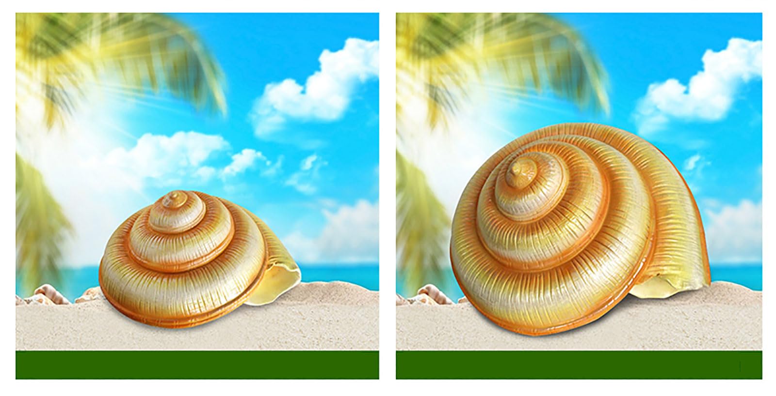 Decoración de Concha Resina y Fibra Vidrio | Decoración de conchas marinas de varios tamaños for bodas en la playa, acuario en casa(Medium)