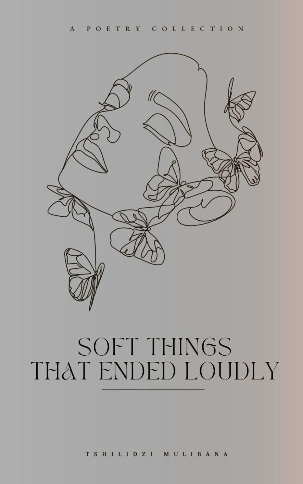 Soft Things That Ended Loudly