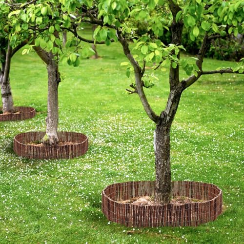 UrFence 300x20 Weide Beeteinfassung Holz - Flexible Rasenkante - Mini Gartenzaun zum Stecken - Rollborder Beetumrandung - Baumumrandung Rund - Beetzaun Steckzaun Beeteinfassung Staketenzaun Rollzaun