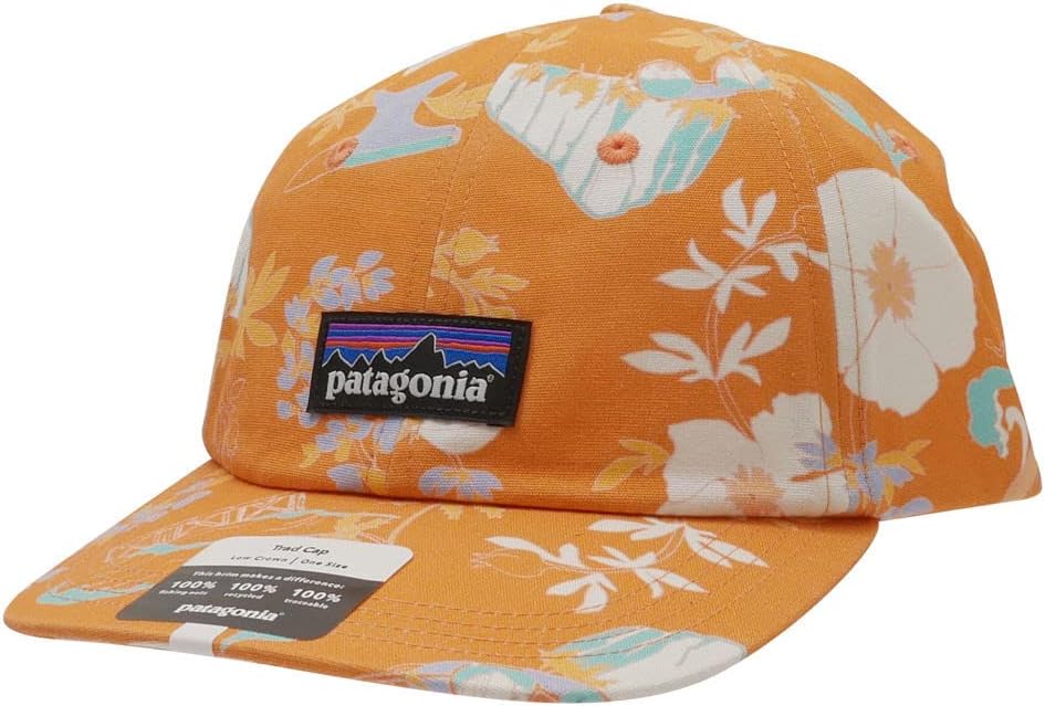 パタゴニア] P-6 Label Trad Cap ラベル トラッド キャップ 6パネル