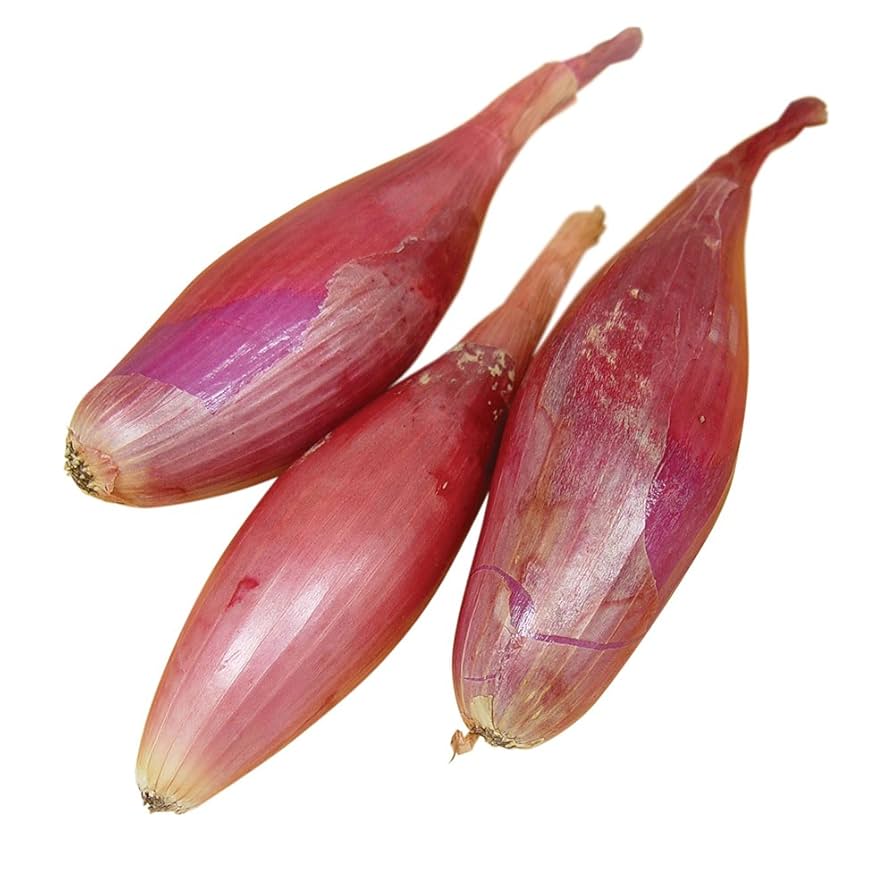 おにおん Amazon.com : Burpee Italian Torpedo Heirloom Onion Seeds 300