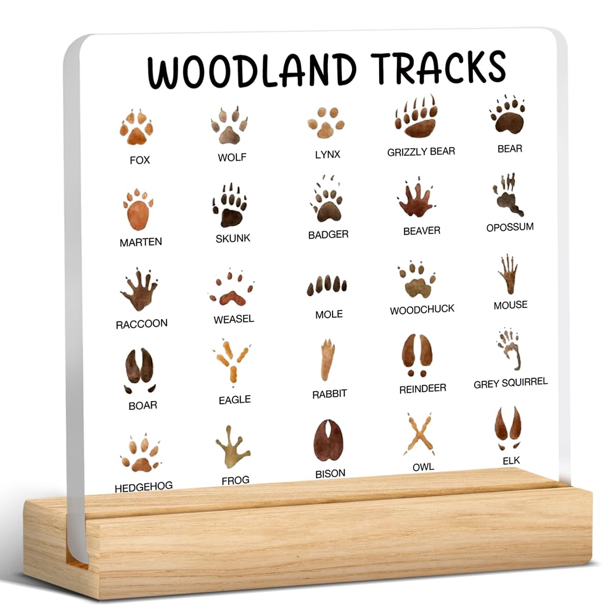 Woodland Tracks Decor, Animal Tracks Field Guide Sign, Forest Nursery Decoration, Woodland Tracks Acrylic Desk Sign Decor, Christmas Gift