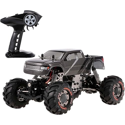 Goolsky HBX 2098B 1/24 2.4GHz 4WD 4WS Devastator Rock Crawler RTR with Double Servo Off-Road RC Car,unisex-children