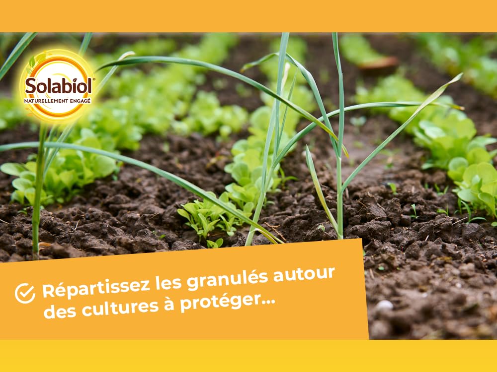 Solabiol Escargots 750g Anti-Limaces Solabiol 750g - Protection Potager Bio Jusqu'à 1075 M² Anti Limaces Solabiol Escargots 750g Anti-Limaces Solabiol 750g - Protection Potager Bio Jusqu'à 1075 M² Anti Limaces