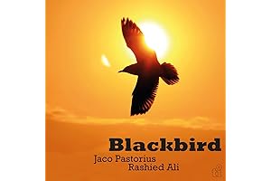 Jaco Pastorius: Blackbird 'Vinyl' Embarks an Emotional Tapestry of a Virtuoso