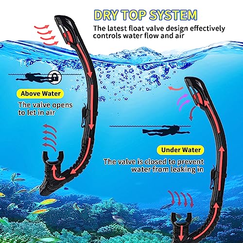 Nearsighted Snorkeling Gear for Adults Youth, Professional Shortsighted Full Dry Top Silicone Snorkel Set, Anti-Fog Diving Mask with Detachable Camera Mount for Scuba Diving, Spearfishing, Freediving - image 5