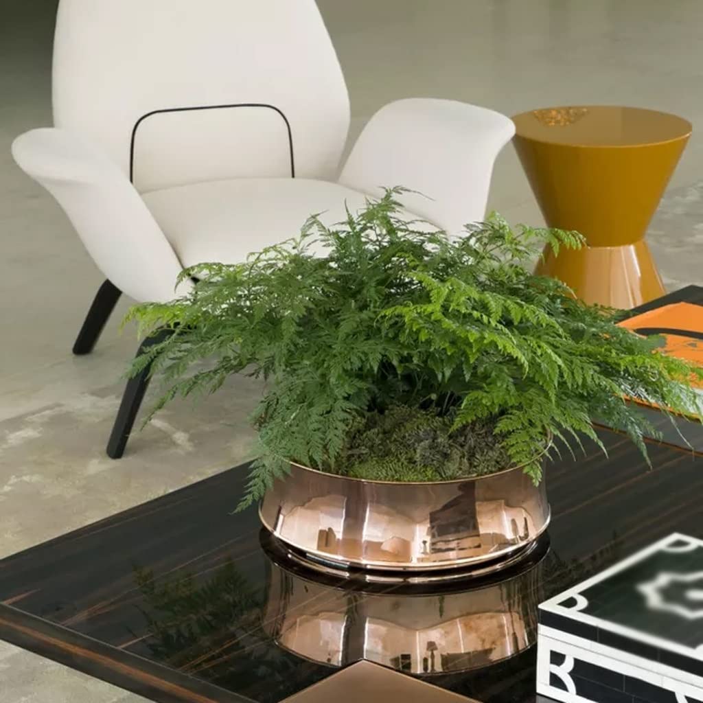 Árbol bonsái Artificial pequeño, árbol bonsái Artificial, planta Artificial de cerámica en maceta para El hogar, la oficina, El escritorio, Adorno Decorativo de bonsái, planta fals