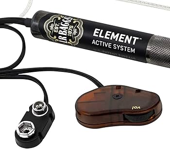 Amazon.com: LR Baggs Element Active System with volume Control for