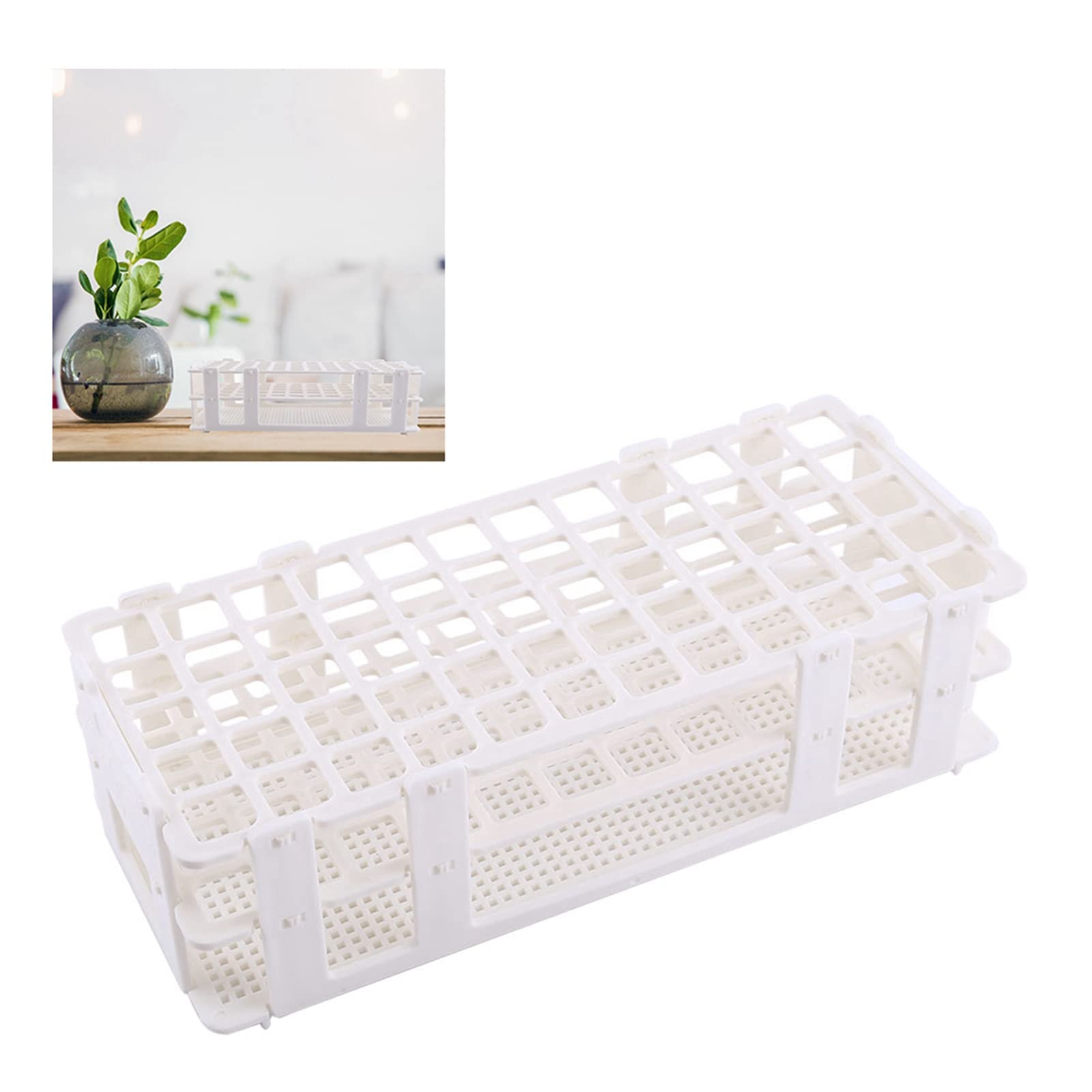 Estante para Tubos de Ensayo, Accesorio de Laboratorio Multiusos de 60 Orificios para Especias, Lápiz Labial, Tienda de Perfumes