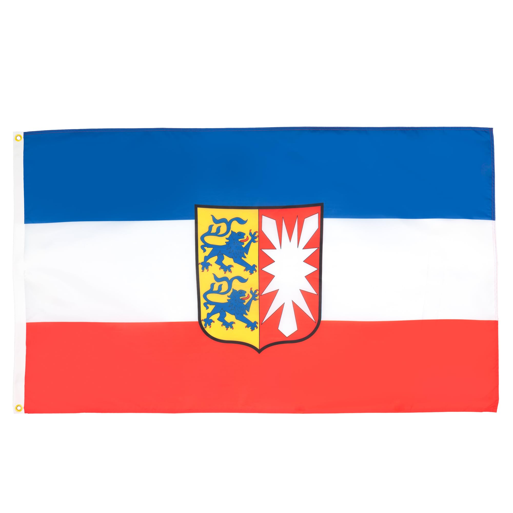 Ejemplo Realista De La Bandera De Schleswig-Holstein Alemania Stock de