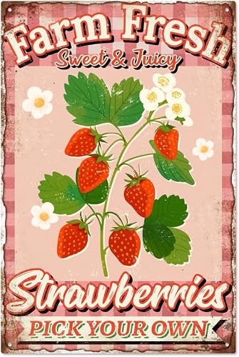 SMAZDFXX Fruit Strawberry Metal Tin Sign, Funny Retro Farms Dessert Shop Home Signs Vintage Farm Fresh Strawberries Pick Your Own Fruit Market Wall Art Poster Plaque Decor 12"x16"