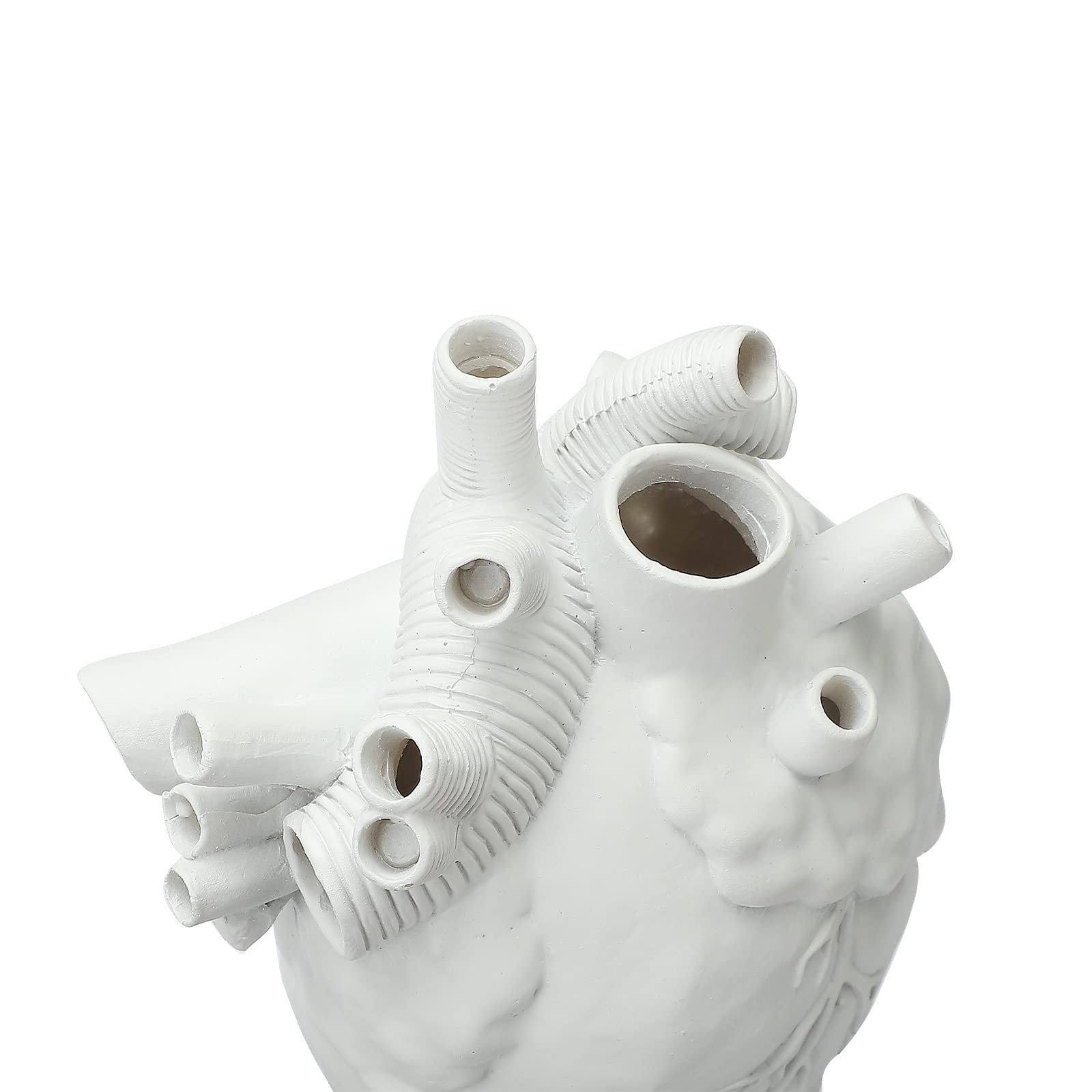 Vaso A Forma Di Cuore Anatomico MANMAOHE In Resina Bianca – Decorazione Scrivania Originale, Regalo Unico
