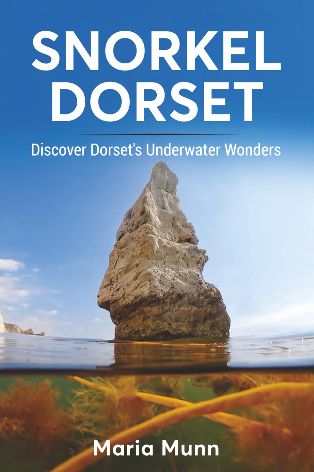 Snorkel Dorset: Discover Dorset's Underwater Wonders