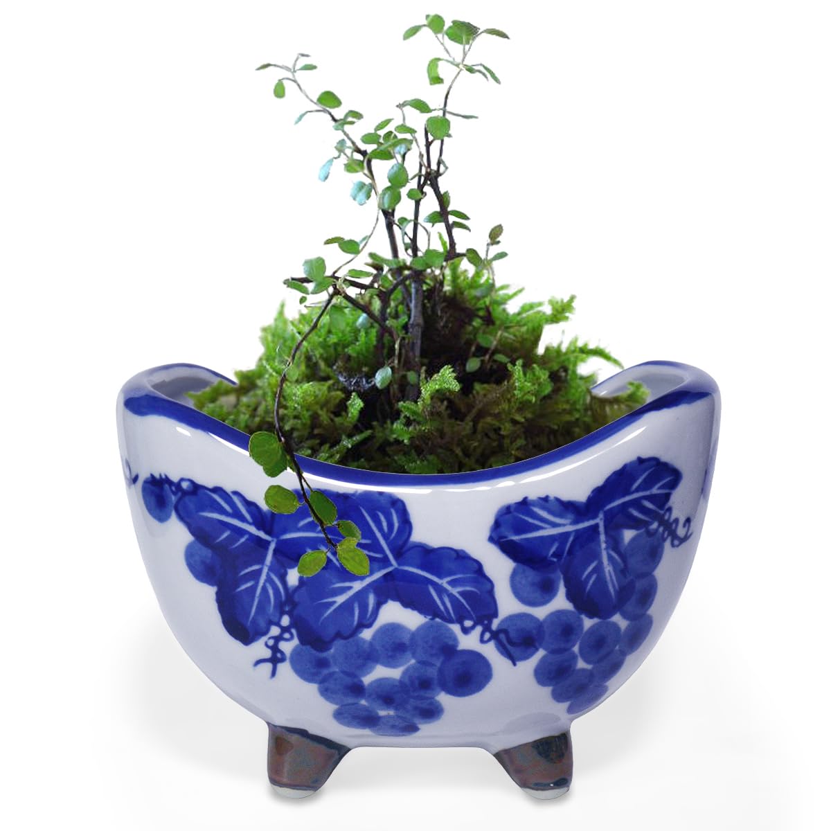 023.【 陶翠窯】 切立丸足付３号盆栽鉢/植木鉢 鉢：国産 足付丸鉢 3号* 資材 : 遊恵盆栽 Yahoo!店 - 通販