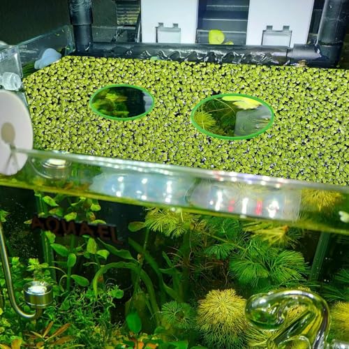 Image of 5Pcs Aquarium Floating Plant Rings, Fish Feeding Ring, Aquarium Plant Holder for Keeps Duckweed Out or in, 5 Sizes of Floating Plants Rings for Feeding Fish, Fishing Tank Decoration