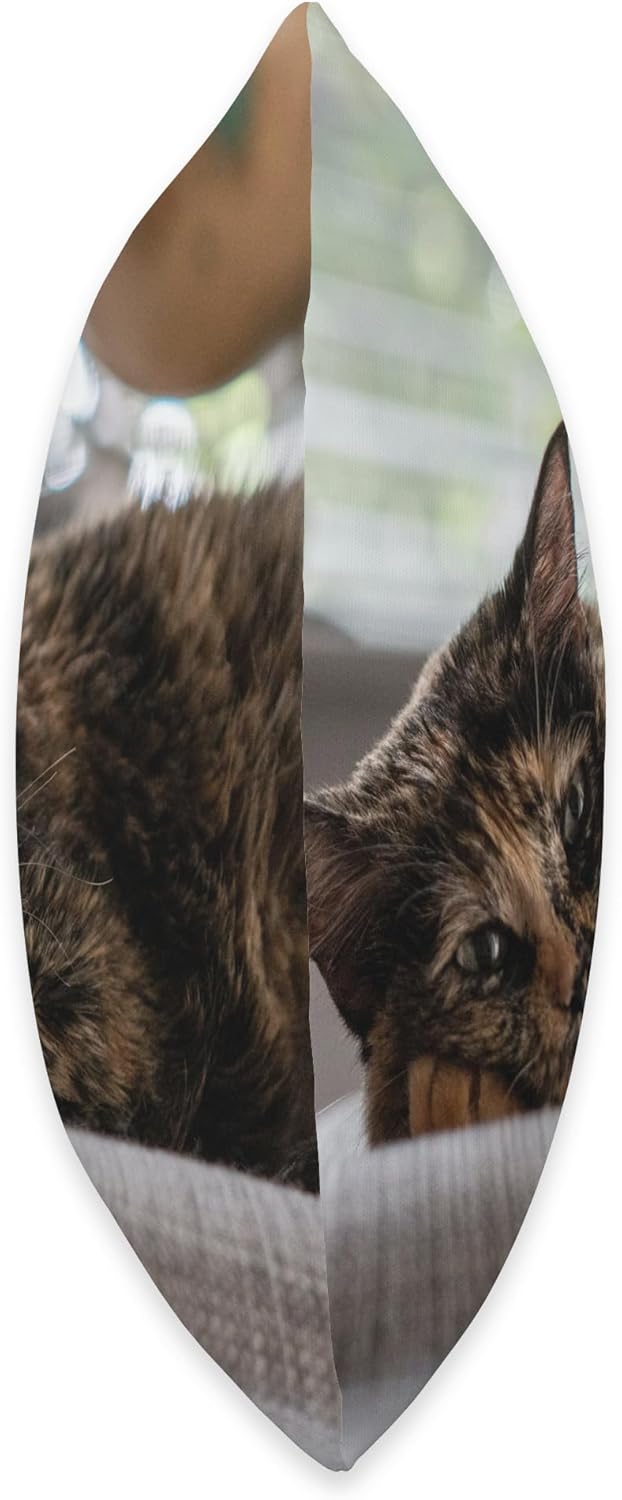 Tortoiseshell Cat Throw Pillow