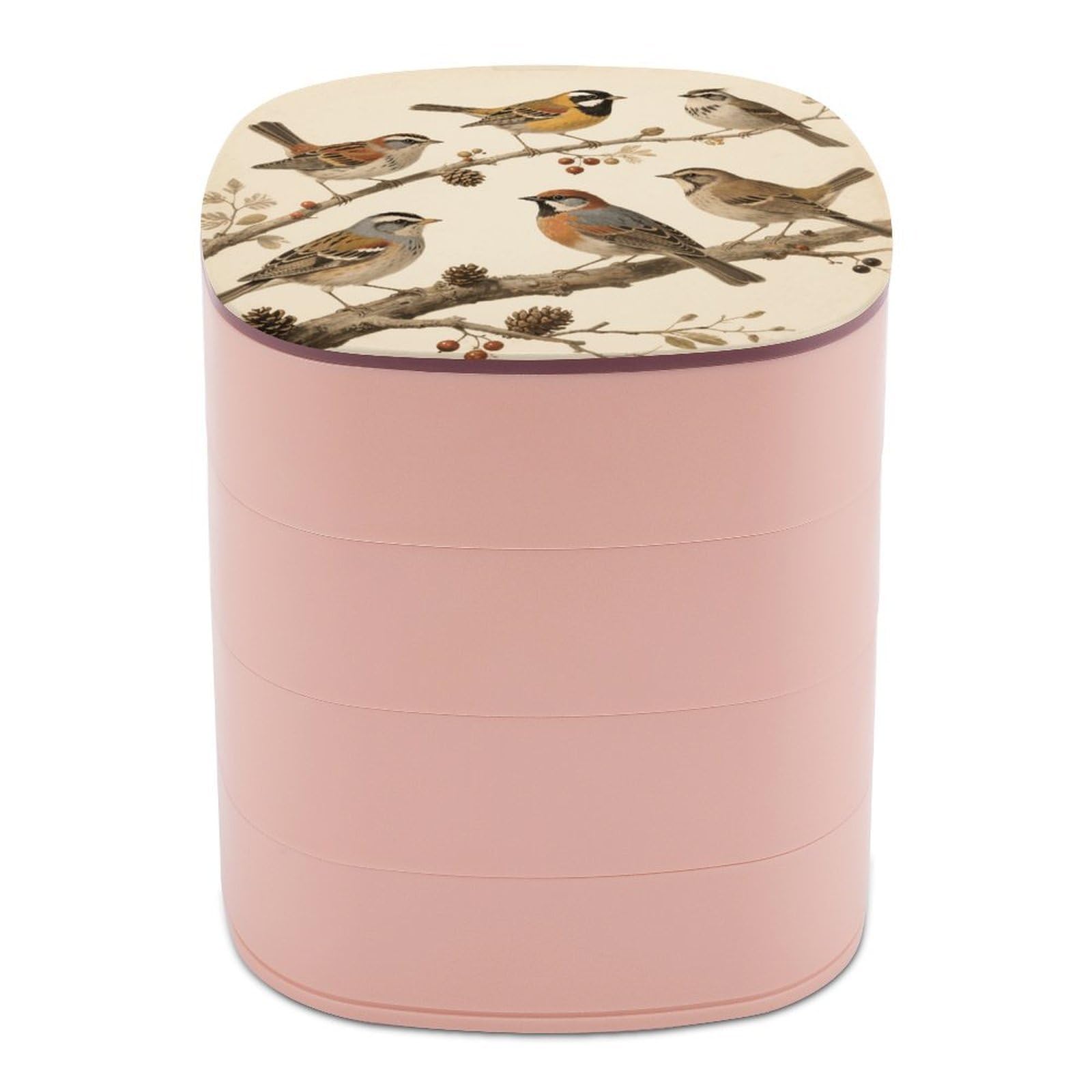 VstaDank Vintage Bird Jewelry Case Women Portable Travel Jewelry Box Rotating Jewelry Organizer with Mirror Multi-Layer Necklace Ring Earring Storage Box for Bracelets Rings
