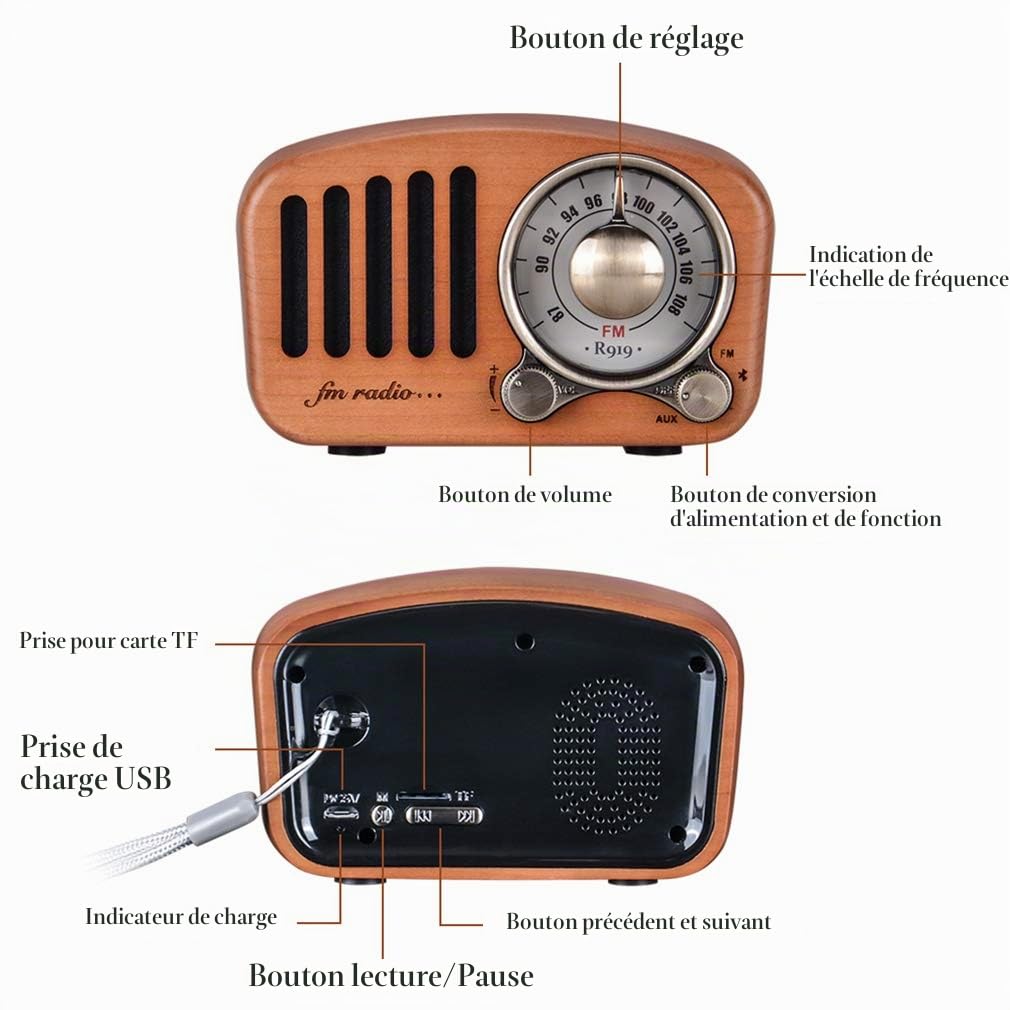 Qoosea Radio Portable Haut-parleurs Bluetooth Faits à la Main Rétro en Bois Bluetooth 4.2 Mini Haut-Parleur avec Caisson de Basses Super Graves avec Radio FM Prise D’entrée Audio (R919)