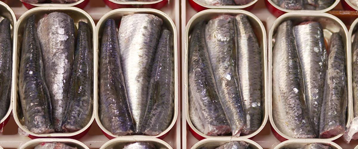 Sardines in olive oil 3 tins x 125 g, Porthos / Portugal