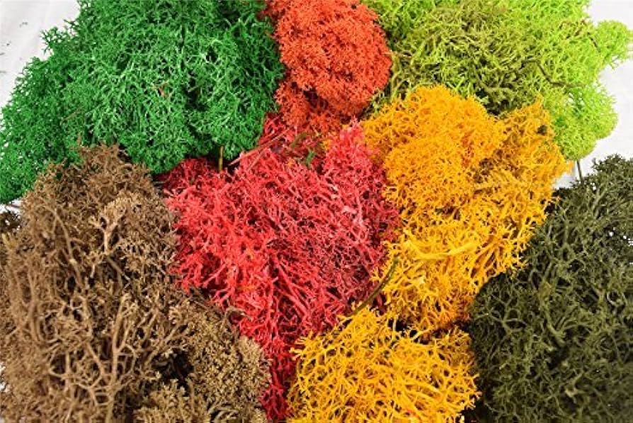 Amazon.com: War World Scenics Lichen Moss Model Foliage Multi-Pack