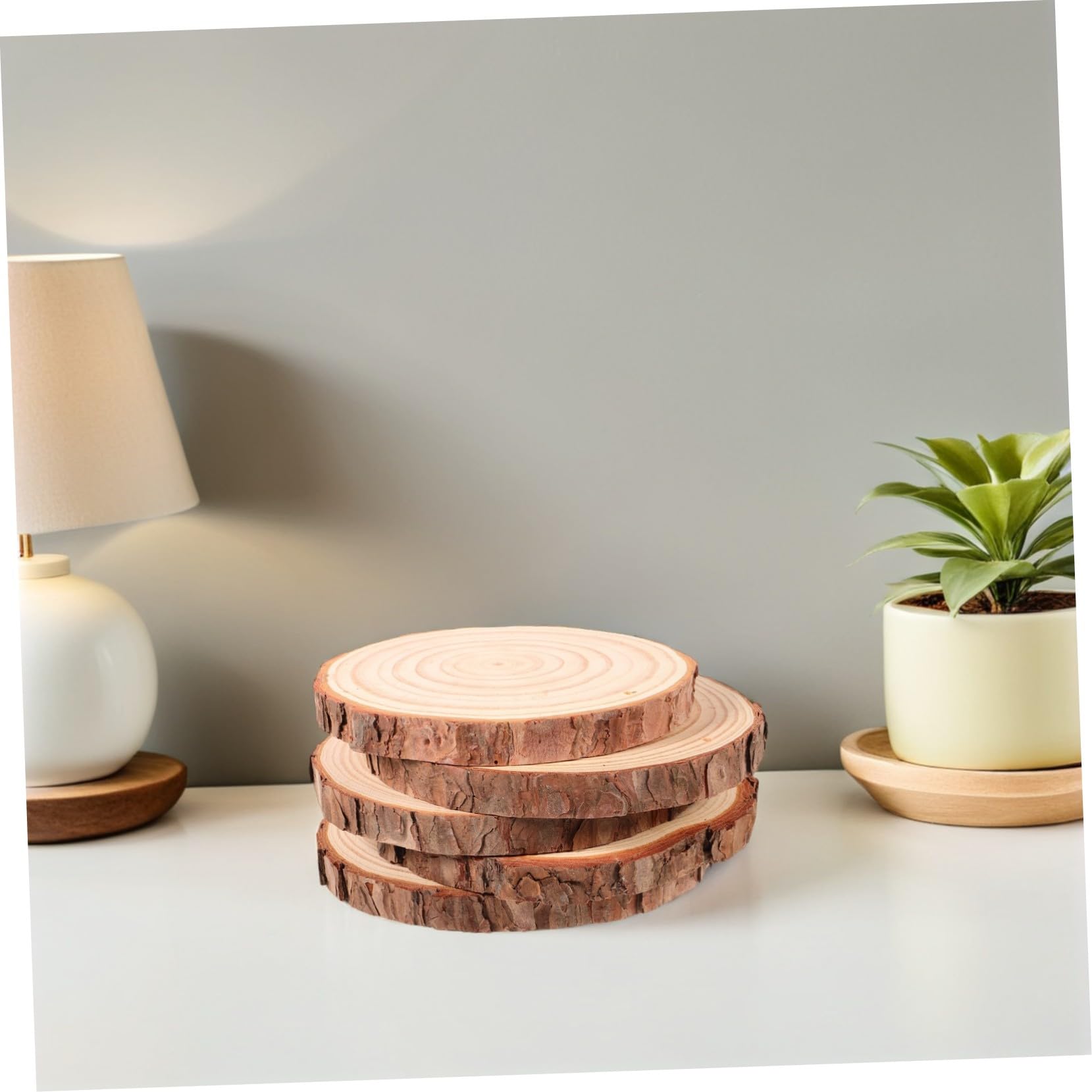 Veemoon 5 Stück Teiliges Runde Holzscheiben Ø Naturbelassen mit Rinde Stabile Kiefern holzscheiben für DIY Basteln Malen Tischdeko Untersetzer Vielseitig für Hochzeit und Wohnaccessoires