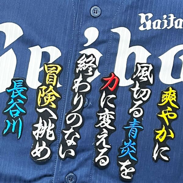 Amazon.co.jp: 埼玉 西武 ライオンズ 長谷川信哉 応援歌 黒 応援