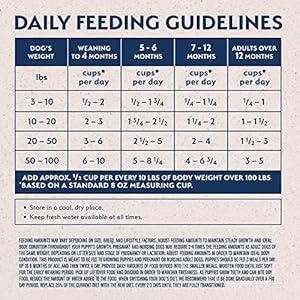 Pure Steadiness Restricted Ingredient Pet Dry Canine Meals with Wholesome Grains, Lamb & Brown Rice Recipe, 24 Pound (Pack of 1)