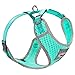 ThinkPet Reflective Breathable Soft Air Mesh Puppy Dog Vest Harness Neon Green Neck 14-17.5"/Chest 15-20"