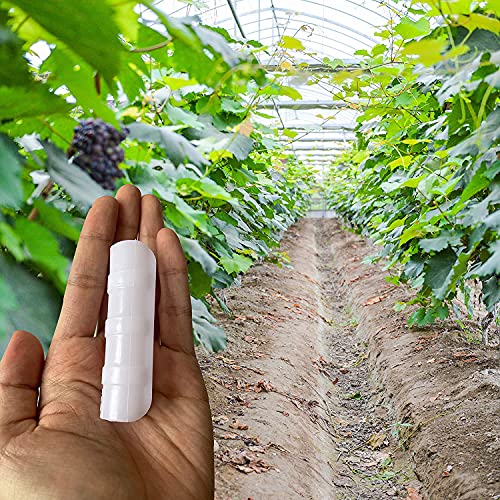 ANCLLO 20 Stück Durchmesser 20 mm Gewächshaus Rahmen Rohr Tube Rod Clip Pflanze Kunststoff Film Net Feste Rohrschellen Anschluss Garten Schatten Zubehör Werkzeuge