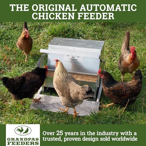 Grandpas Feeders Automatic Chicken Feeder - Heavy-Duty Galvanized Steel with Weatherproof Lid - No-Waste Poultry Feeder, Rat Proof, Spill Proof, Standard Size for 6-12 Chickens 10 Days (20lb Feed)