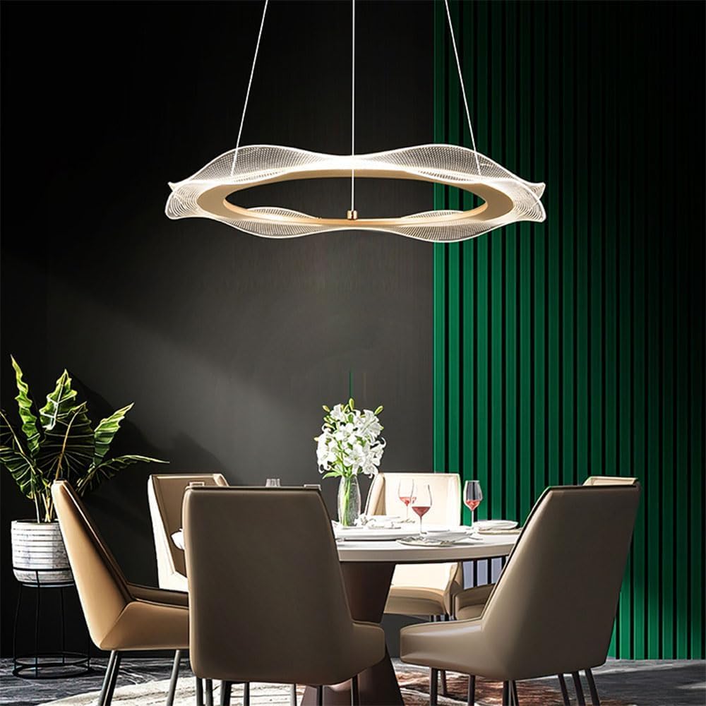 ZTCHSENZT Pendant Lamp Minimalist LED Hanging Lamp Modern Gold Home Decor Acrylic LED Chandelier Dimmable Suspension Light,Lighting Wall Sconce,60cm