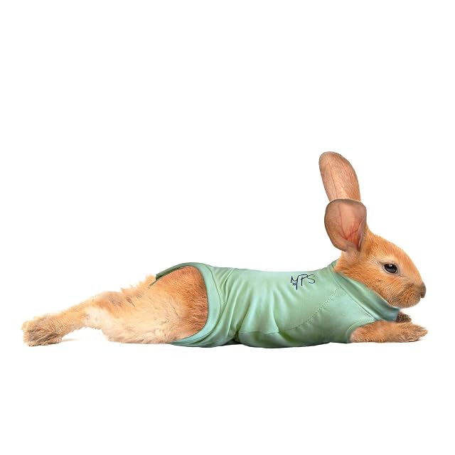 MPS Medical Pet Shirt, Conejo, Verde, XXS