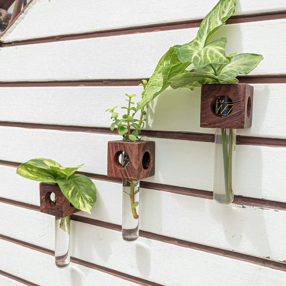 HAND N ART Wooden Test Tube Planter Fridge Power Magnet, Modern Home Decor Gift Item Plant Container Set (Wood and Test Tube) | Wooden Holder and Test Tube Combo Plant Container (Set of 3) (B09SB537DT) Amazon Price History, Amazon Price Tracker