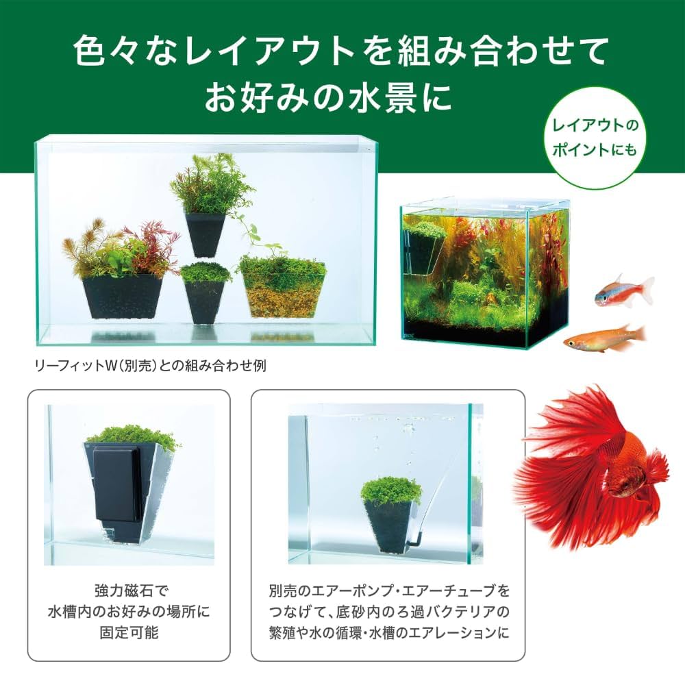 水草育成用品 一式 Amazon | ジェックス 水草一番サンド8kg | ジェックス | 生体