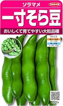 そらまめ 61OK7krJVuL._AC_UF350,