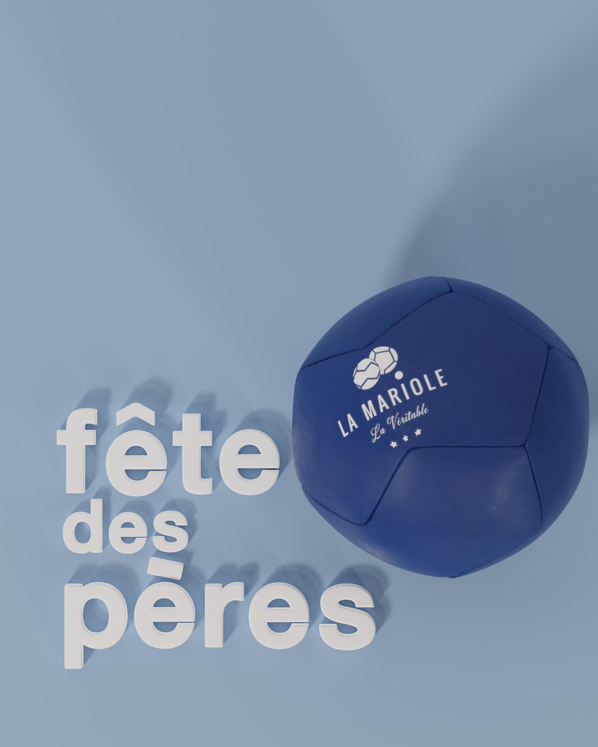 LA MARIOLE - Jeu de Boules de Pétanque Tout Terrain Intérieur Extérieur Indoor Outdoor - Pack Officiel V4