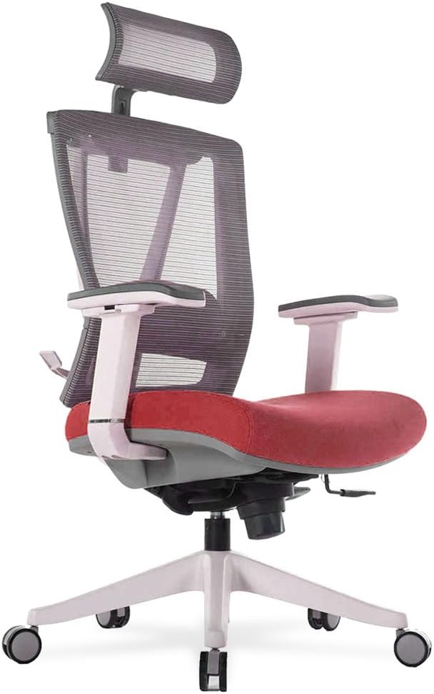 Premium Ergonomic Office Chair with Lumbar Support, Kuwait Ubuy
