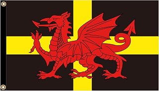 PinkDisplay Black Wales flags Welsh Dragon 3x5ft(90x150cm) eyelets and double stitches