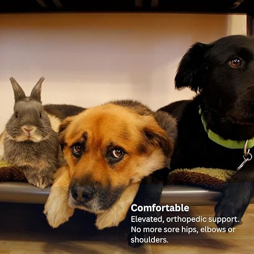 Miniatura 4 de Kuranda Cama para perros a prueba de masticación, PVC de nogal - 40 x 25 pulgadas - Vinilo resistente - Humo