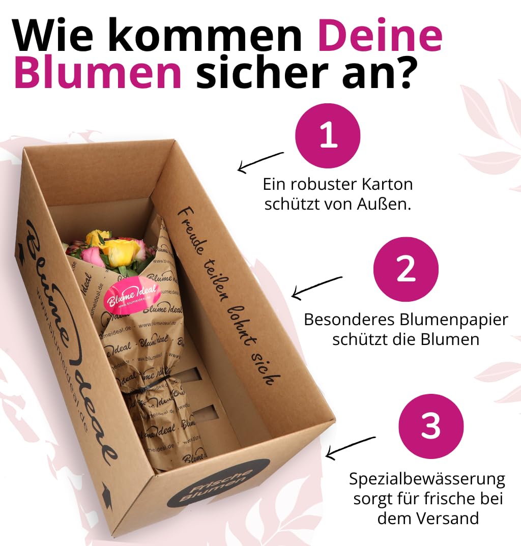 Blume Ideal Bukiet róż "Zorza polarna", 60 czerwono-białych róż, Ø 40-50 cm, najwyższa jakość, 7-dniowa świeżości, idealny prezent kwiatowy