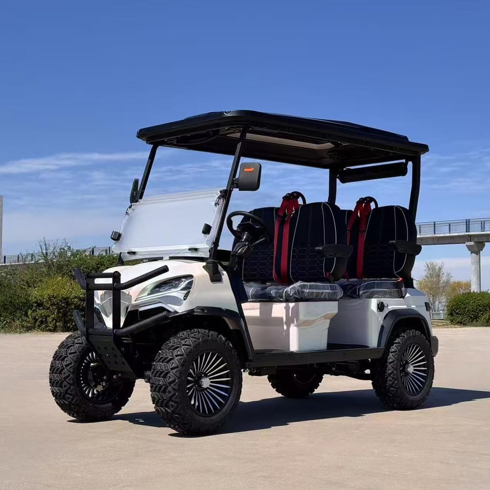 LANGWEI 4 Passenger Electric Cruiser for Adults, Powerful Heavy Duty Golf Cart for Recreational, Agricultural & Commercial Applications
